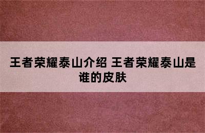 王者荣耀泰山介绍 王者荣耀泰山是谁的皮肤